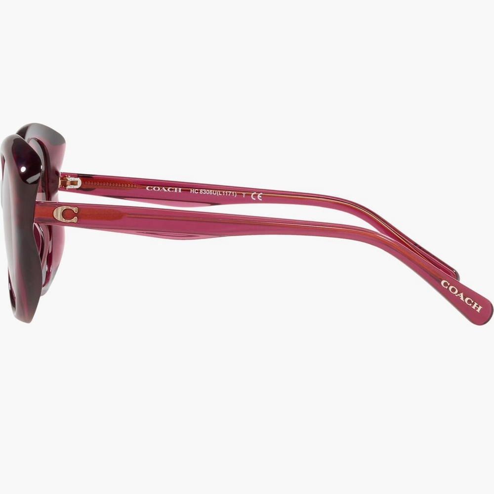 Coach Women's Oversized Round Sunglasses - Pink - Picture 3 of 8